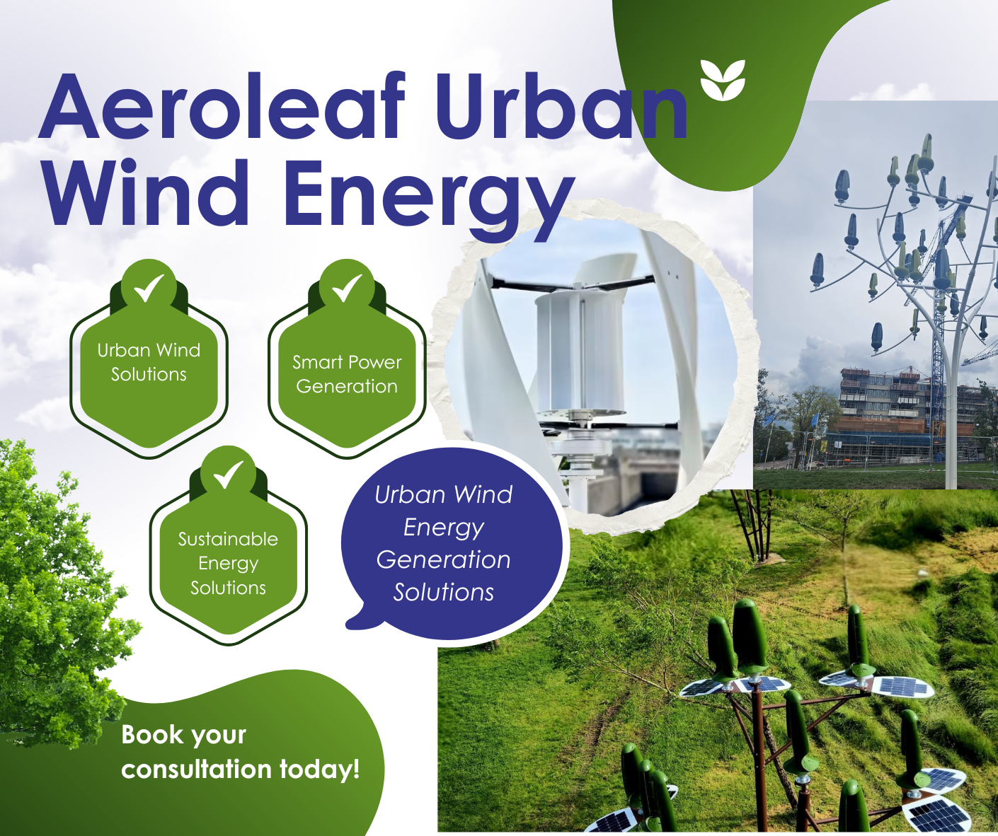 Export Of Biodegradable Packaging, Herbs & Spices: Supporting Sustainable Global Markets