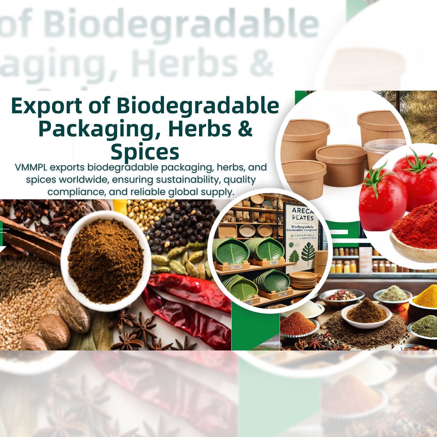 Trusted Global supplier of sustainable packaging and natural spices.